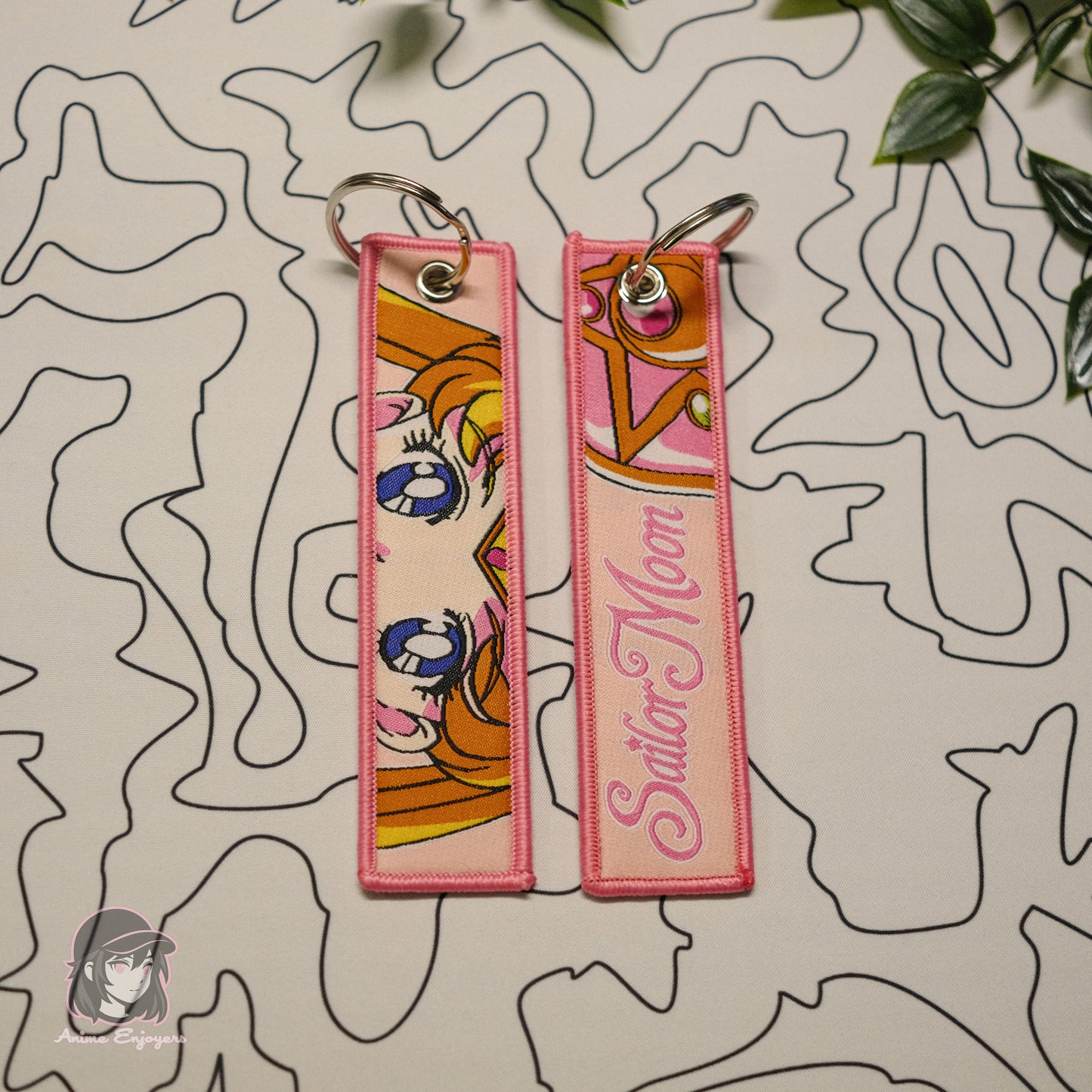 sailor-moon-jet-tag