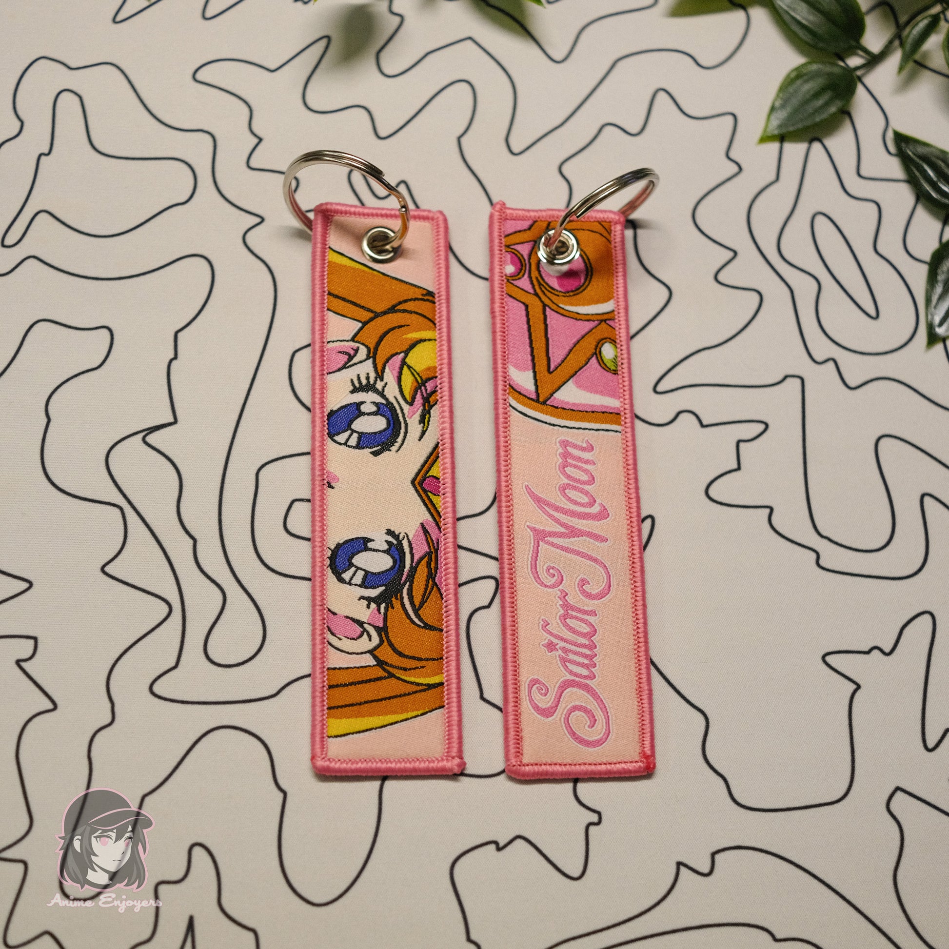 sailor-moon-jet-tag